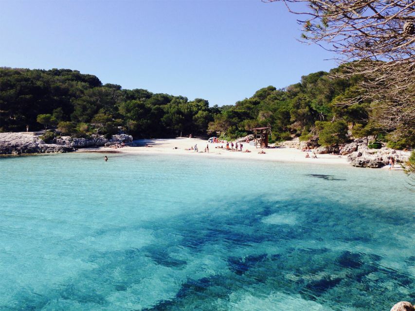 From Cala Galdana: 2-Hour Glass-Bottom Boat Trip - What this Cala Galdana boat trip is really like
