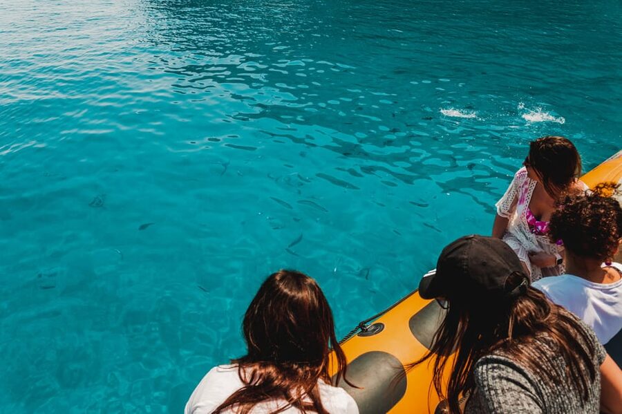 From Can Picafort: Dolphin Watching and Cave Boat Trip - Key points to know before you book