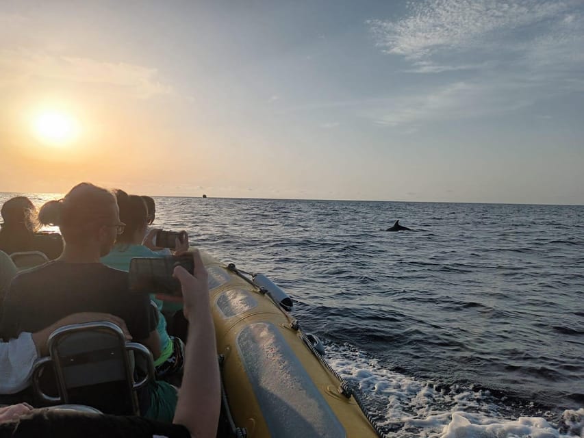 From Can Picafort: Dolphin Watching and Cave Boat Trip - The sea cave stop: attractive, but keep expectations sensible