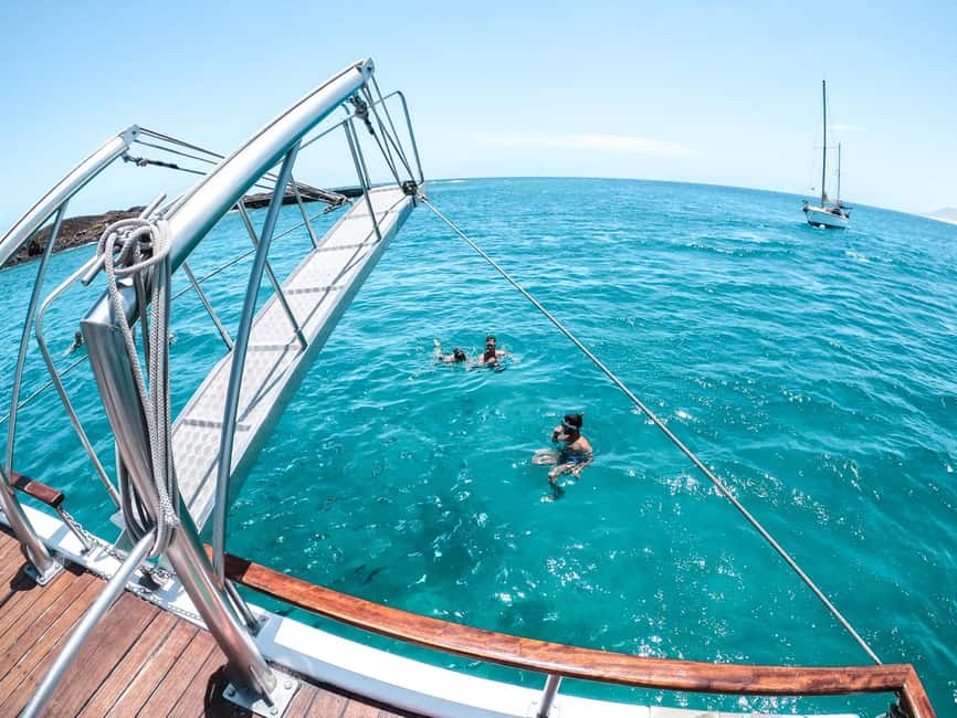 From Corralejo: Lobos Island Boat and Snorkel Activity - The trip begins at Corralejo harbor