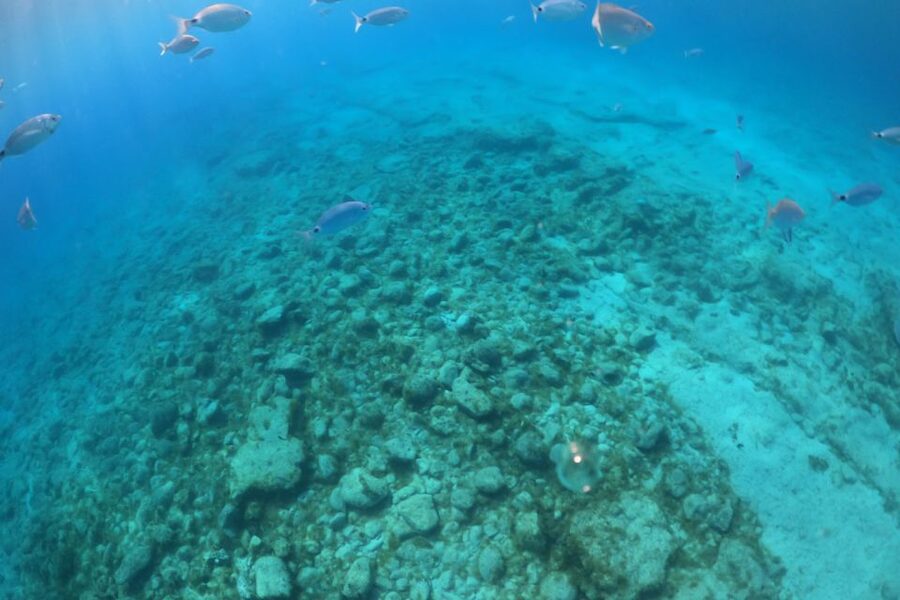 From Corralejo: Lobos Island Boat and Snorkel Activity - La Caldera rewards the one-hour-and-a-half walk