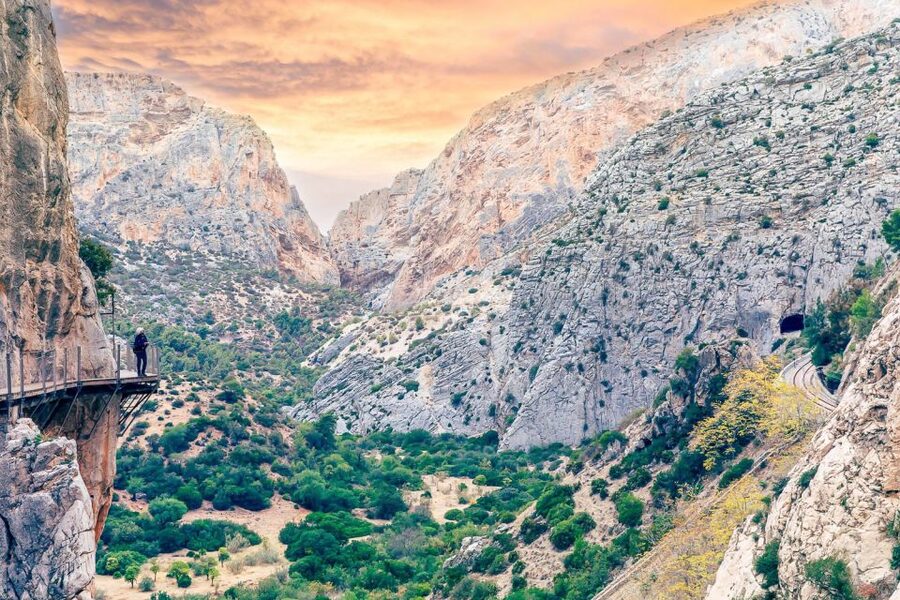 From Costa del Sol: Caminito del Rey Day Trip - Who should book this day trip?