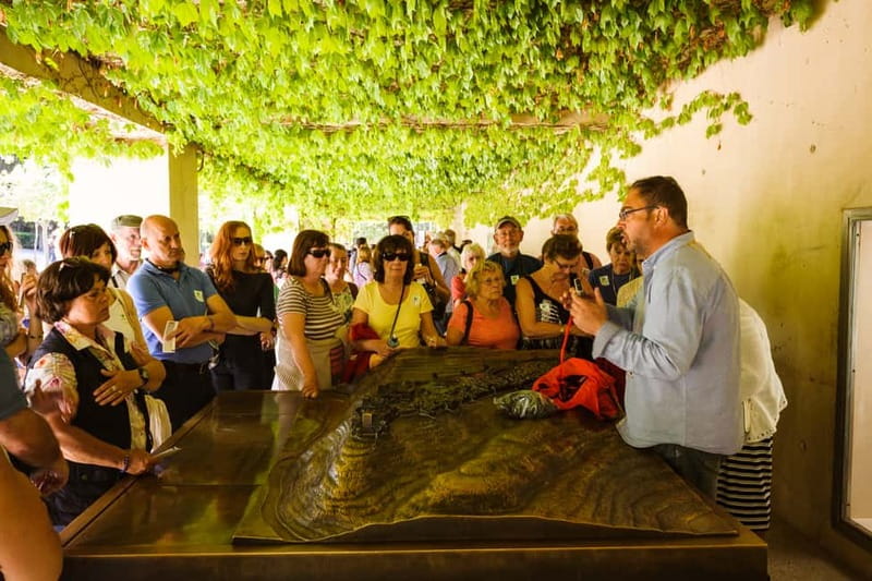 From Costa del Sol: Granada Full-Day Tour - A useful opening walk through Granada’s center