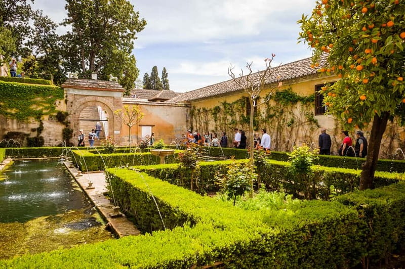 From Costa del Sol: Granada Full-Day Tour - Transport, pickup points, and group rhythm