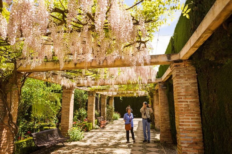 From Costa del Sol: Granada Full-Day Tour - Choosing your Alhambra experience