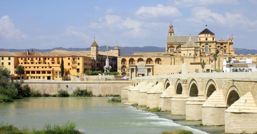 From Costa del Sol & Malaga: Cordoba Guided Day Tour - Free time for lunch and your own Cordoba
