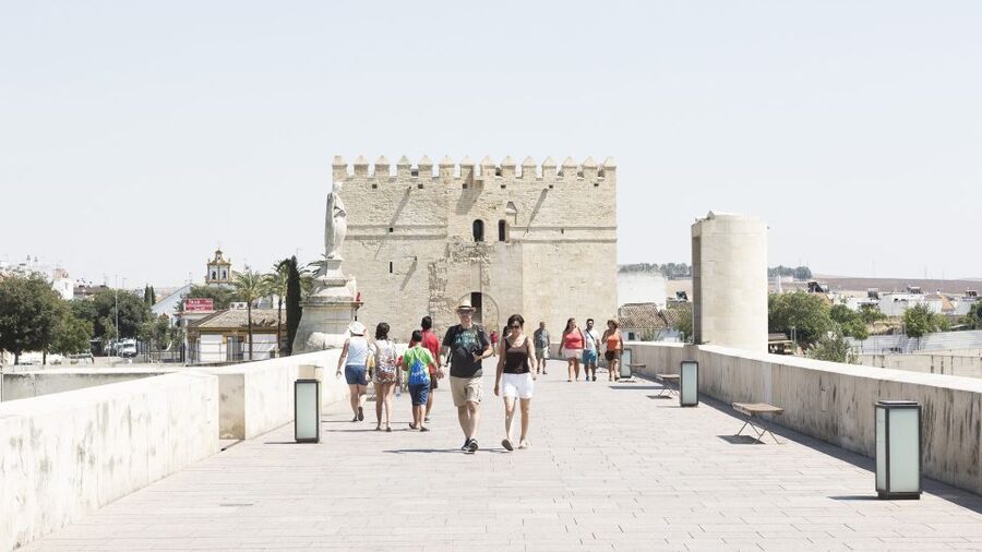 From Costa del Sol & Malaga: Cordoba Guided Day Tour - The coach ride from the Costa del Sol