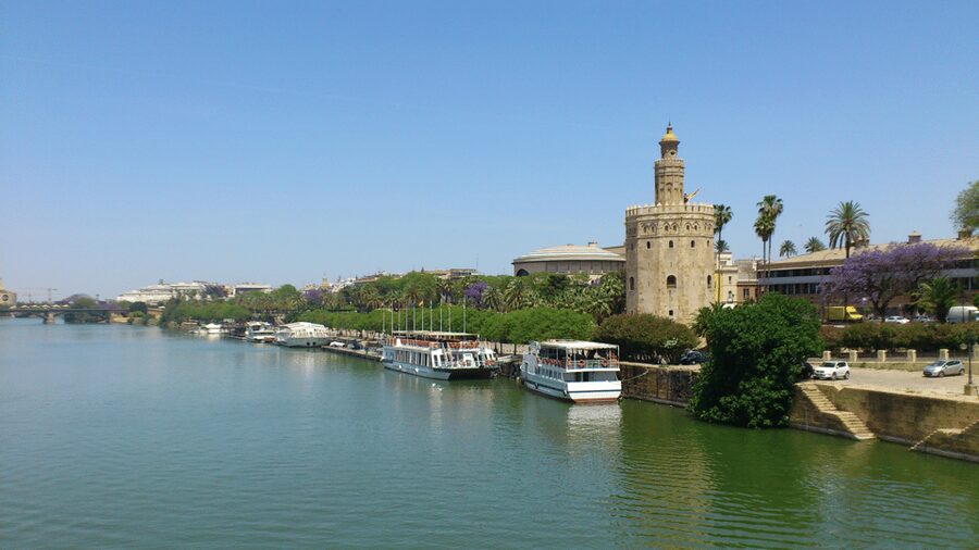 From Costa del Sol & Malaga: Seville Day Trip - Is $101 good value?