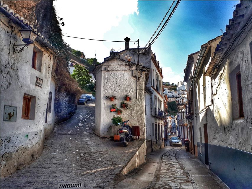 From Costa del Sol: Ronda and Setenil de las Bodegas - Timing, language, and walking demands