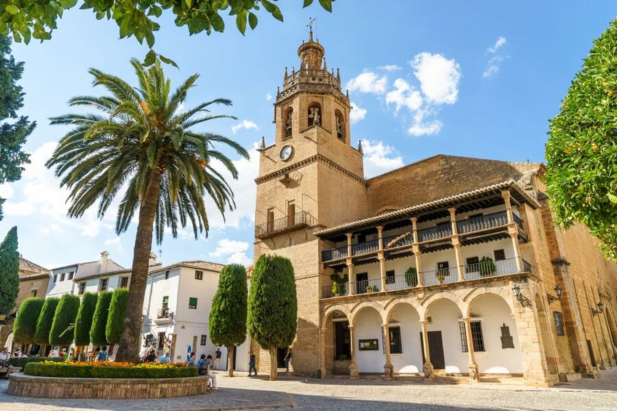 From Costa del Sol: Ronda Village Tour w/ Maestranza Ticket - Who should book this Ronda day trip?