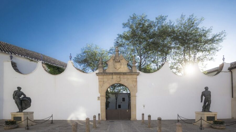 From Costa del Sol: Ronda Village Tour w/ Maestranza Ticket - The bus ride into the Andalusian hills