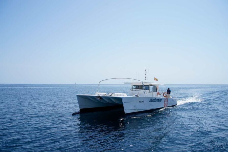 From Denia: Boat Trip to Tallada Cave with Optional Swim - Practical tips for a smoother trip