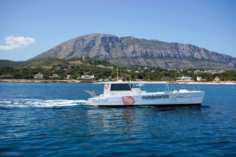 From Denia: Boat Trip to Tallada Cave with Optional Swim - Who will enjoy the Mundo Marino cruise most
