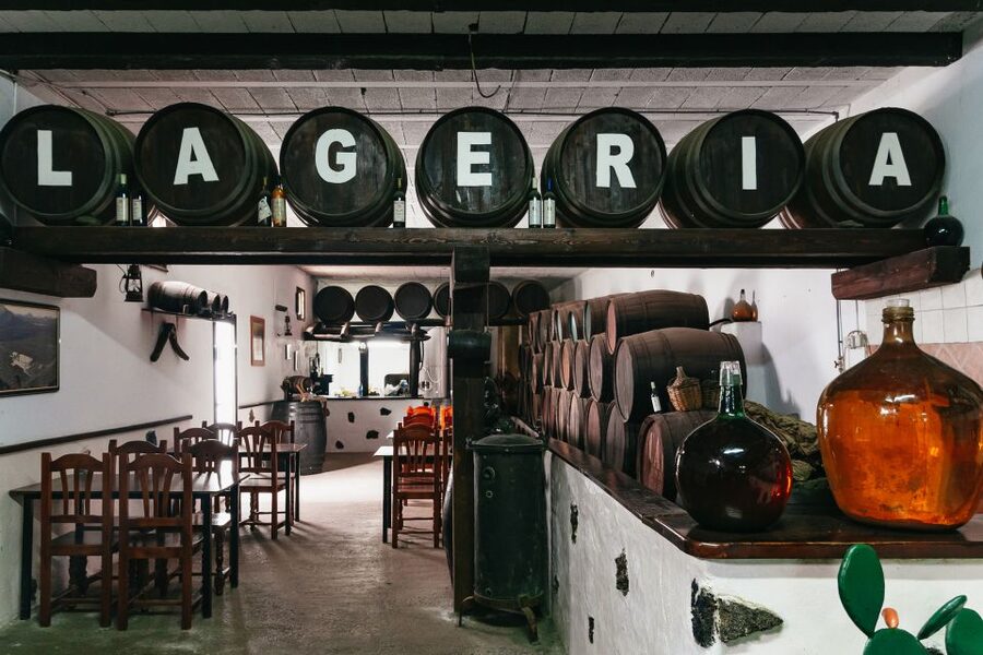 From Fuerteventura: Lanzarote Trip with Wine Tasting & Lunch - Key points to know before booking