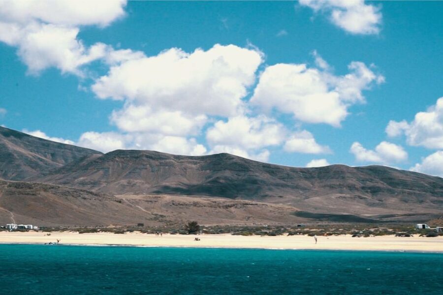 From Fuerteventura: Lanzarote Volcano and Wine Region Tour - A full day built around Timanfaya