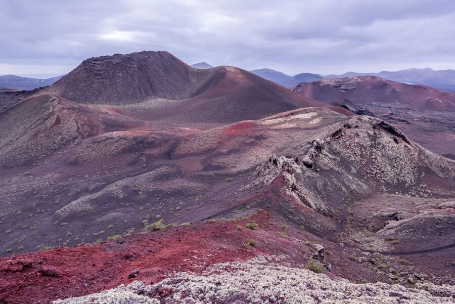 From Fuerteventura: Lanzarote Volcano and Wine Region Tour - Should you book this Lanzarote day trip?