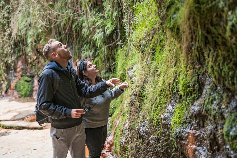 From Granada: Alpujarra Villages Guided Day Tour - Key points to know before booking