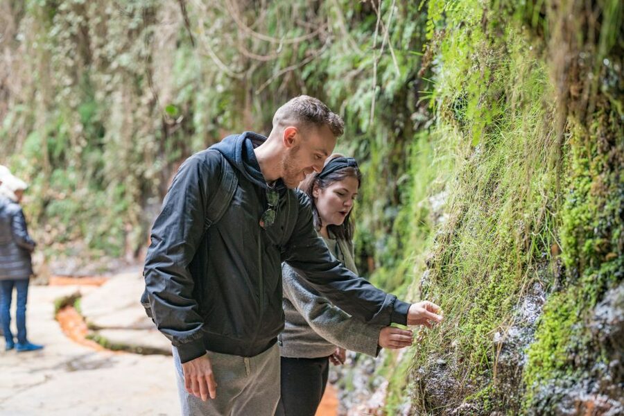 From Granada: Alpujarra Villages Guided Day Tour - Lunch, timing, and the Spanish schedule