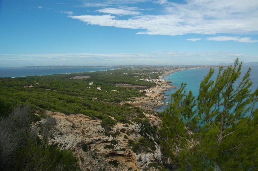 From Ibiza: Ferry and Guided Bus Excursion in Formentera - Key points to know before booking