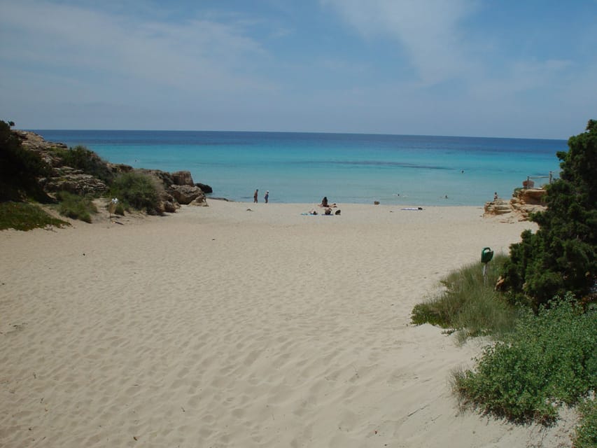 From Ibiza: Ferry and Guided Bus Excursion in Formentera - Who should choose this Formentera day trip?