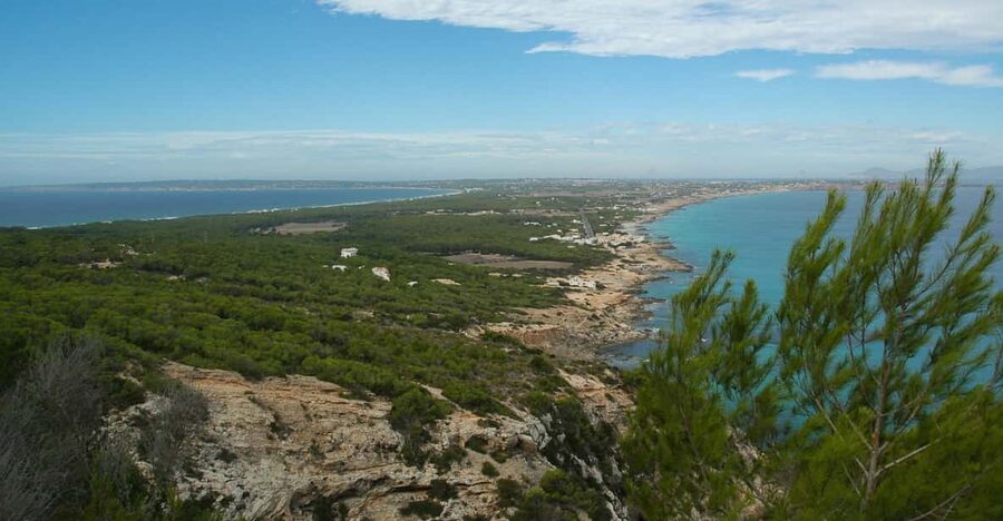 From Ibiza: Ferry and Guided Bus Excursion in Formentera - Crossing from Ibiza to La Savina