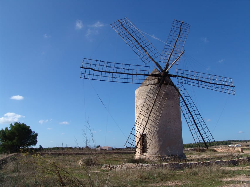 From Ibiza: Ferry and Guided Bus Excursion in Formentera - Las Salinas and the return to La Savina