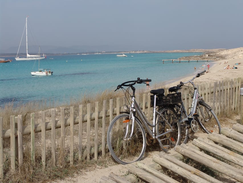 From Ibiza: Ferry and Guided Bus Excursion in Formentera - Guides, languages, and group size
