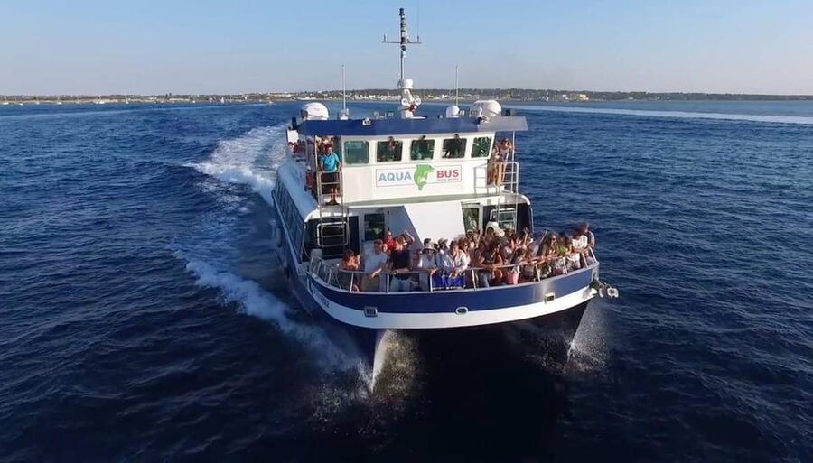From Ibiza: Same-Day 2-Way Ferry Ticket to Formentera - Who should book the Aquabus ticket?