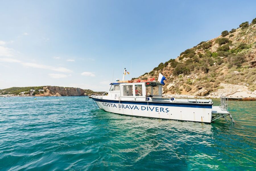 From L’Estartit: Snorkeling Trip to the Medes Islands - Key points at a glance