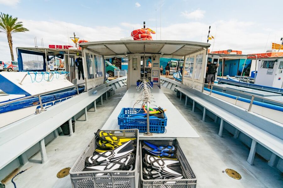 From L’Estartit: Snorkeling Trip to the Medes Islands - Practical tips for a smoother outing