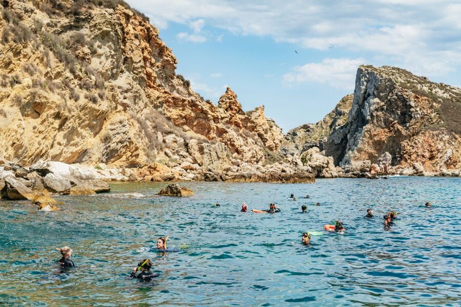 From L’Estartit: Snorkeling Trip to the Medes Islands - Fifty minutes among fish, plants, and rock