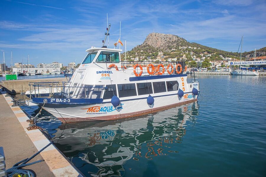From L’Estartit: Snorkeling Trip to the Medes Islands - Time to swim, sunbathe, and look back at the coast