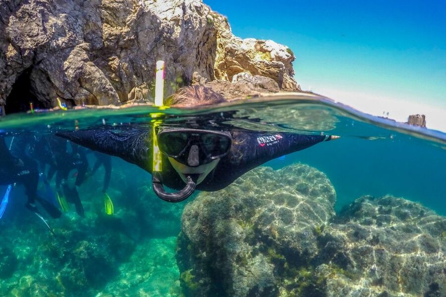 From L’Estartit: Snorkeling Trip to the Medes Islands - Is $45 a fair price?