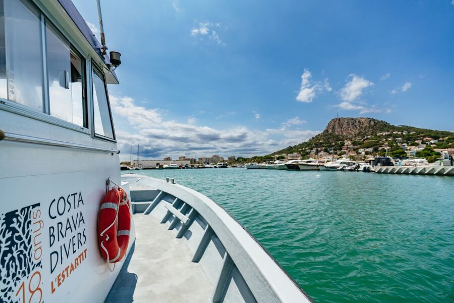 From L’Estartit: Snorkeling Trip to the Medes Islands - Who will enjoy this most?
