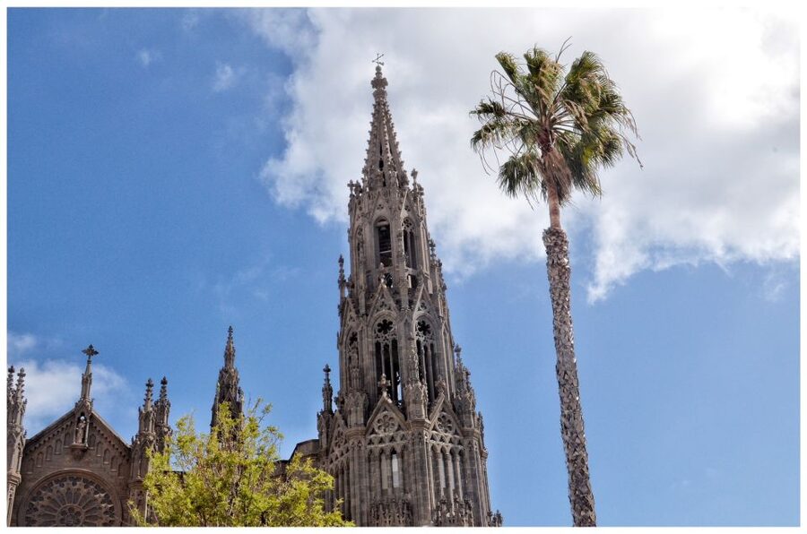 From Las Palmas: Full-Day Tour of the North - Key points to know before booking
