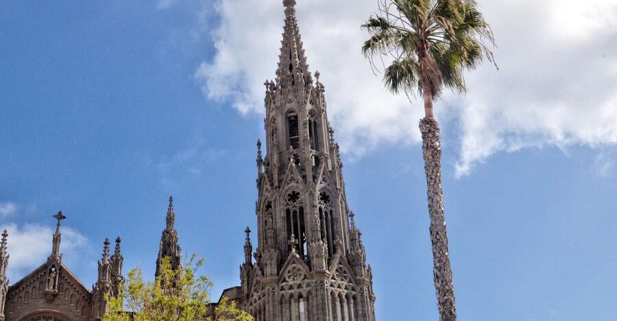 From Las Palmas: Full-Day Tour of the North - Banana farming beyond the resort zone