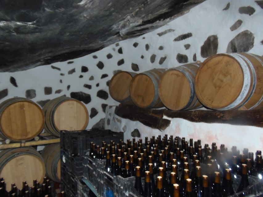 From Las Palmas: Full-Day Tour of the North - Vineyard tasting and the €7.50 decision