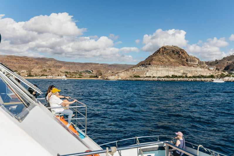 From Las Palmas: Highlights of Gran Canaria Day Tour - Why this tour works from Las Palmas