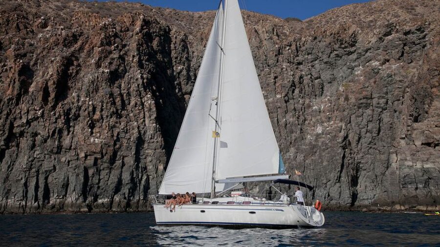 From Los Gigantes: Whale Watching Sailboat Cruise - The atmosphere on board