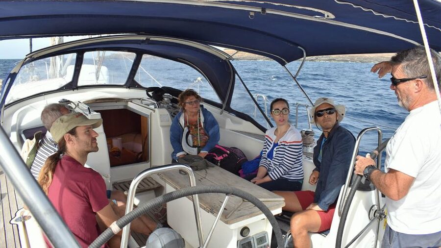 From Los Gigantes: Whale Watching Sailboat Cruise - Timing, comfort, and small practical details
