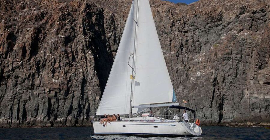 From Los Gigantes: Whale Watching Sailboat Cruise - Watching whales and dolphins off Los Gigantes