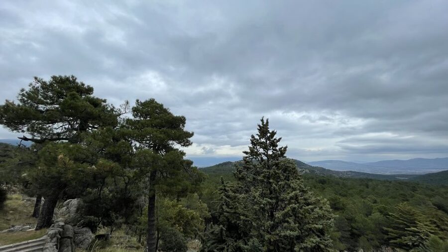 From Madrid: Escorial Monastery and the Valley of the Fallen - Who should book this half-day trip?