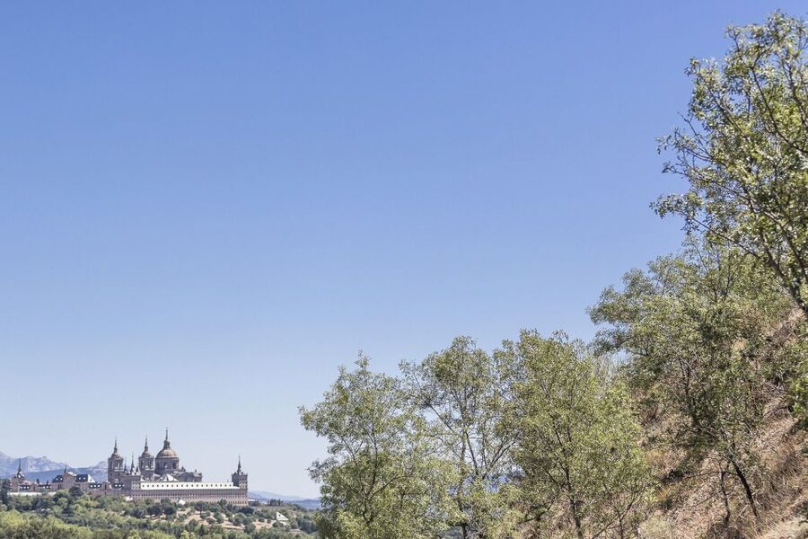 From Madrid: Escorial Monastery & Valley of the Fallen Trip - Timing, group size, and the bilingual format