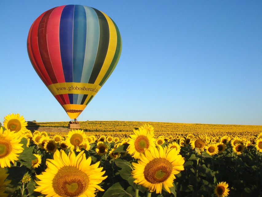 From Madrid: Hot Air Balloon Ride in Segovia with Pickup - The crew and languages
