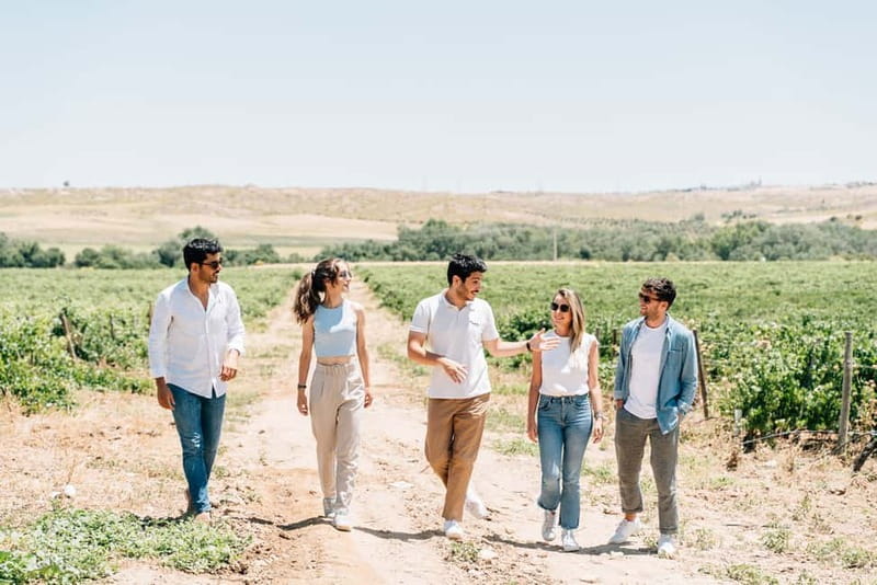 From Madrid: Toledo City Tour and Wine Tasting Experience - Making the most of 105 minutes in Toledo