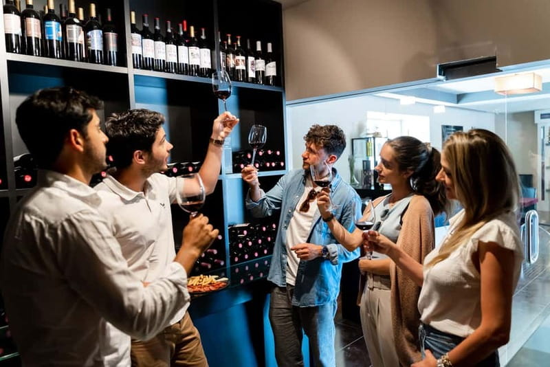 From Madrid: Toledo City Tour and Wine Tasting Experience - Walking among the vineyards