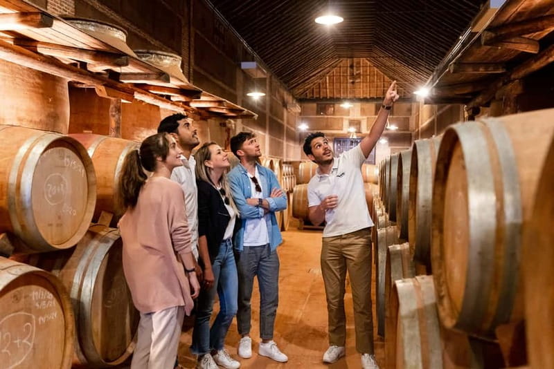 From Madrid: Toledo City Tour and Wine Tasting Experience - The Mirador del Valle viewpoint