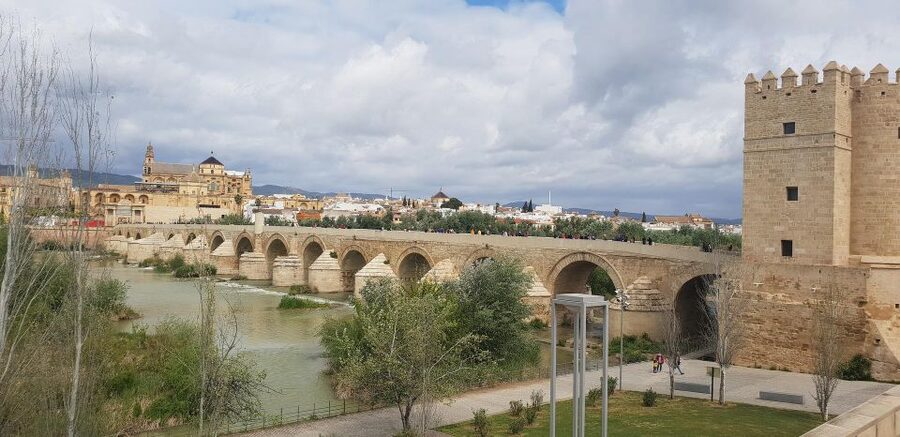 From Malaga and Costa Del Sol: Cordoba Day Trip - The Jewish Quarter, Calleja de las Flores, and Handkerchief Lane