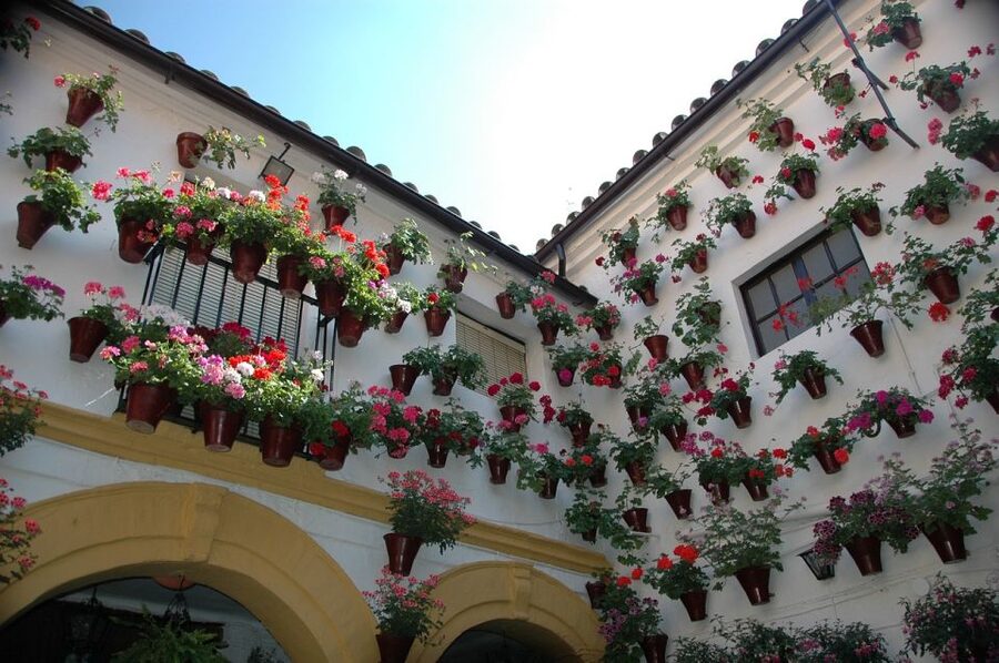 From Malaga and Costa Del Sol: Cordoba Day Trip - Alcázar, Roman Bridge, and views across the Guadalquivir