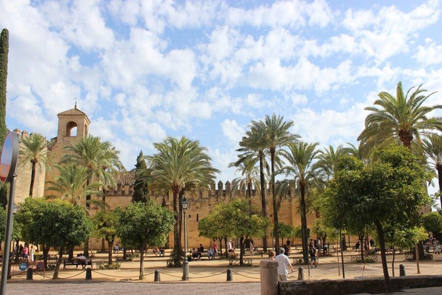 From Malaga and Costa Del Sol: Cordoba Day Trip - Is $41 good value for this Córdoba day trip?